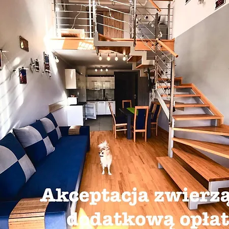 My Universe Mezzanine Teczowe Wzgorze *