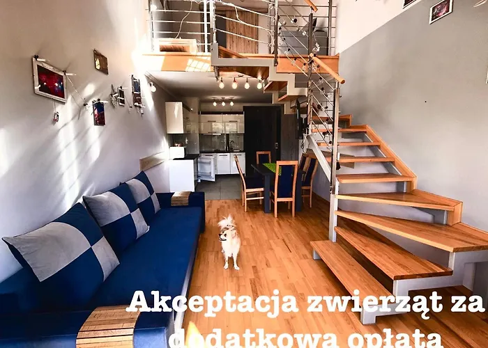 My Universe Mezzanine Teczowe Wzgorze *