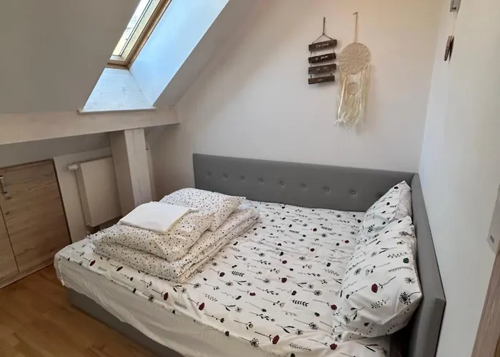 My Universe Mezzanine Teczowe Wzgorze *